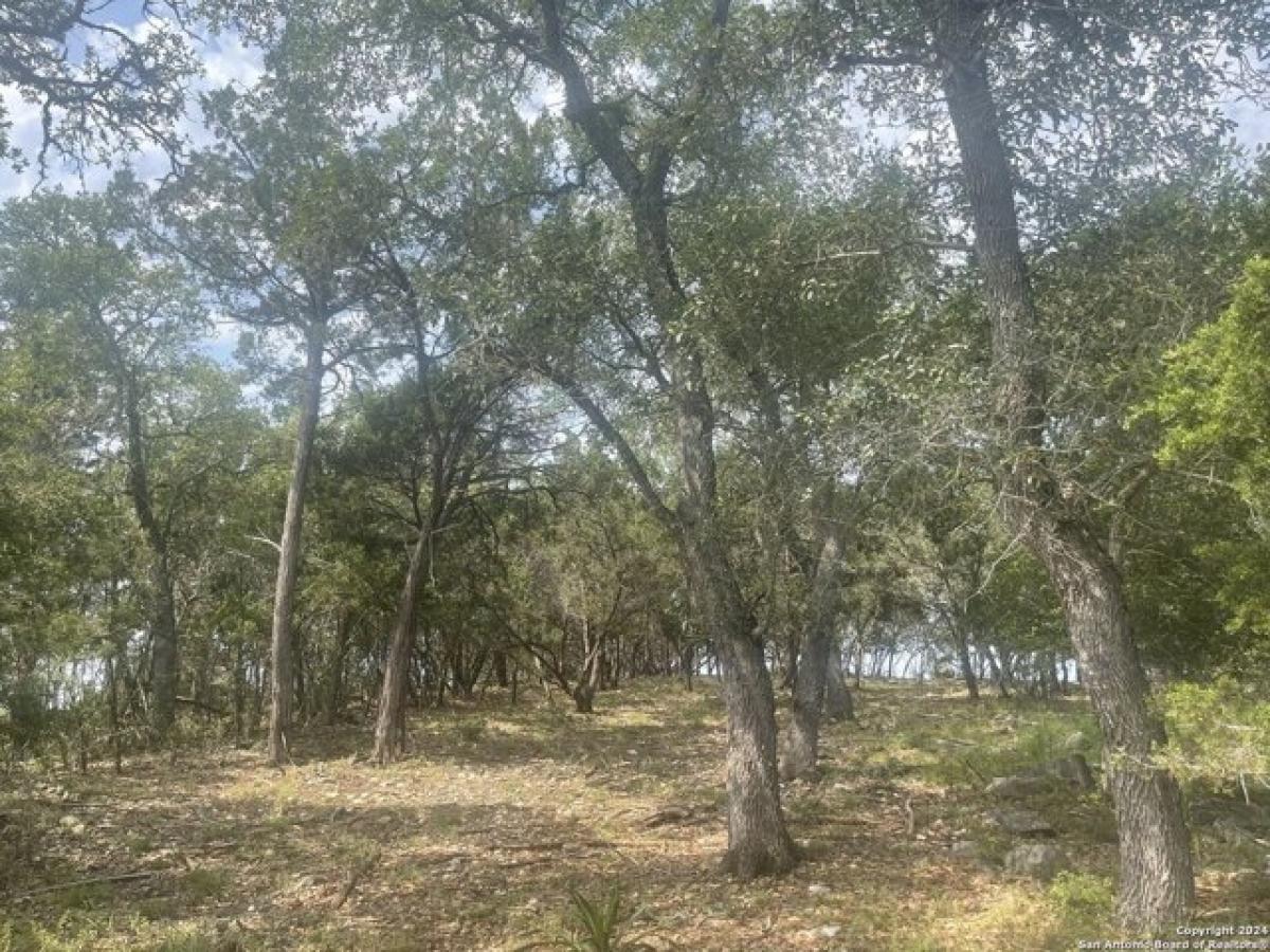 Picture of Residential Land For Sale in New Braunfels, Texas, United States