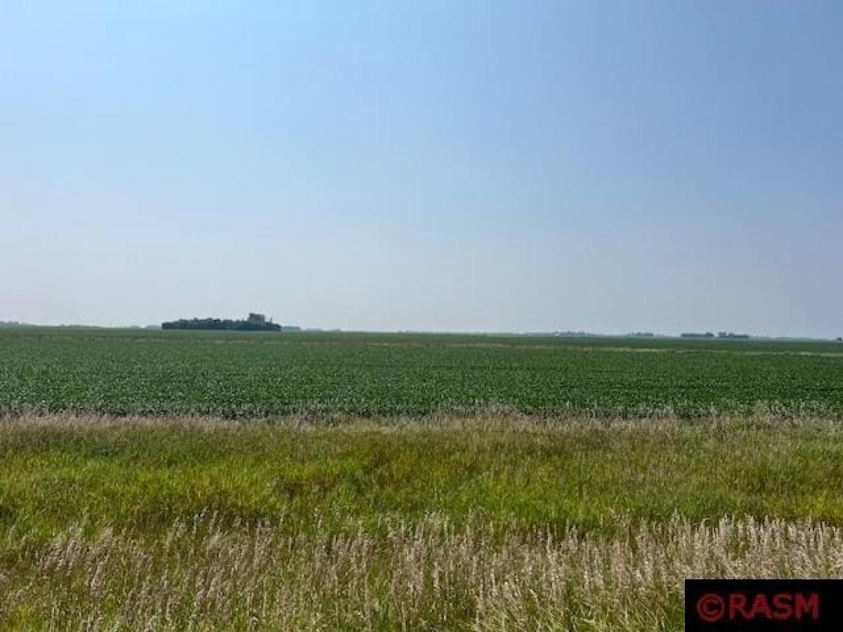 Picture of Residential Land For Sale in Wells, Minnesota, United States