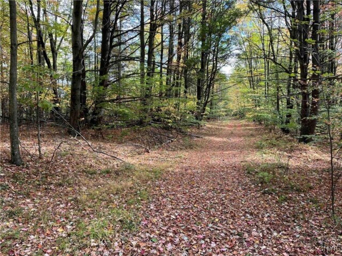 Picture of Residential Land For Sale in Cuba, New York, United States