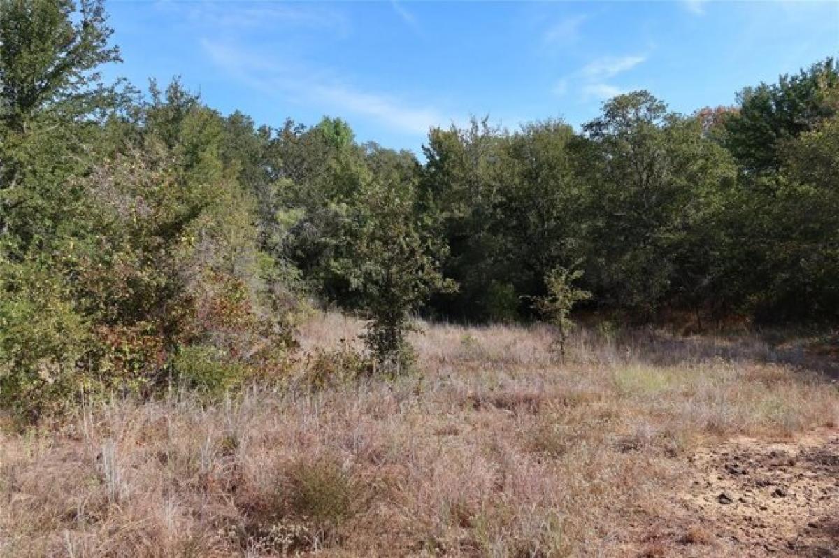 Picture of Residential Land For Sale in Bowie, Texas, United States