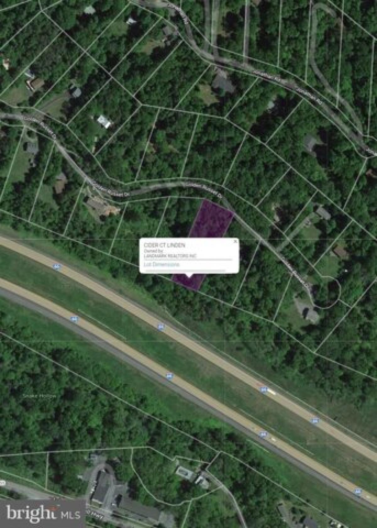 Picture of Residential Land For Sale in Linden, Virginia, United States