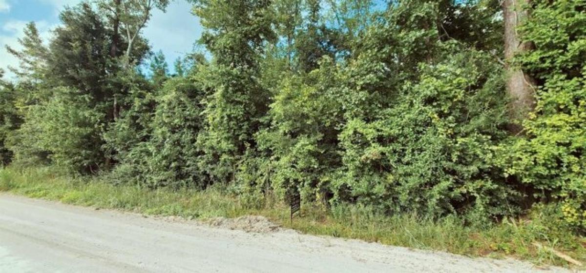 Picture of Residential Land For Sale in Conway, South Carolina, United States