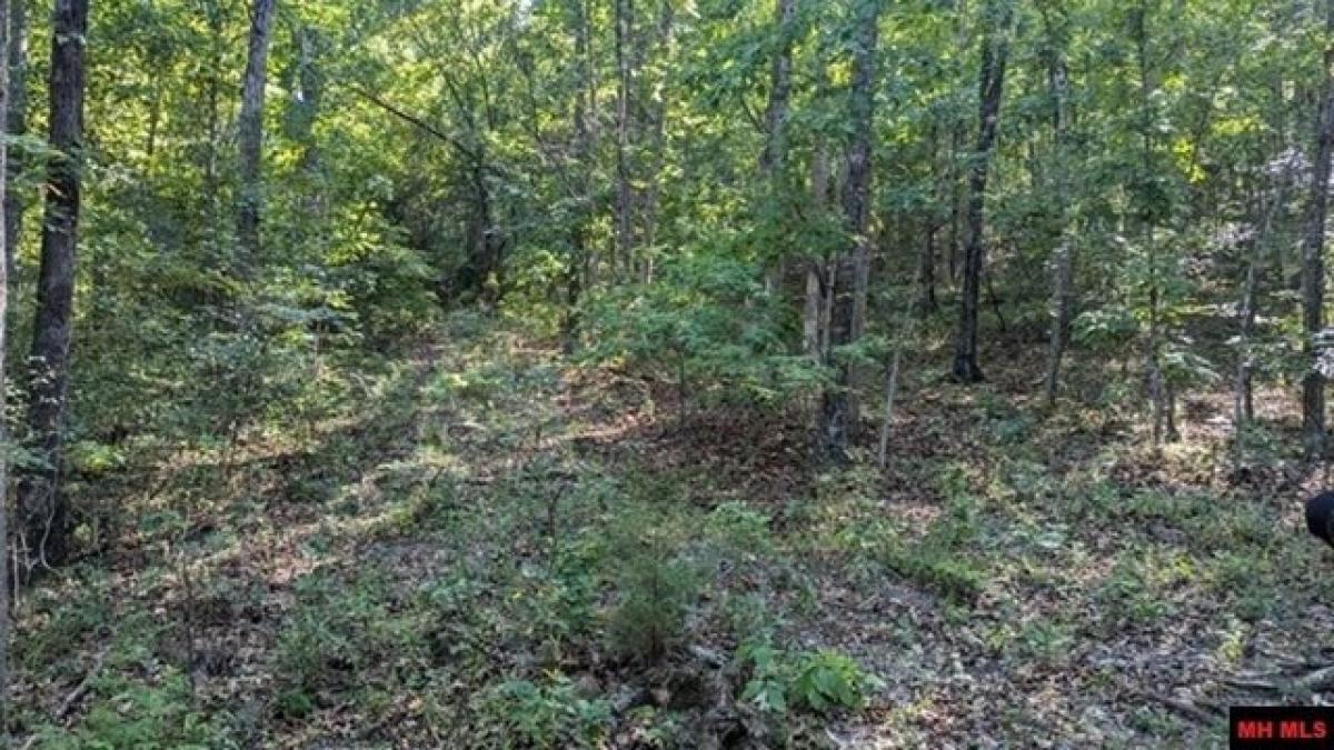 Picture of Residential Land For Sale in Lead Hill, Arkansas, United States