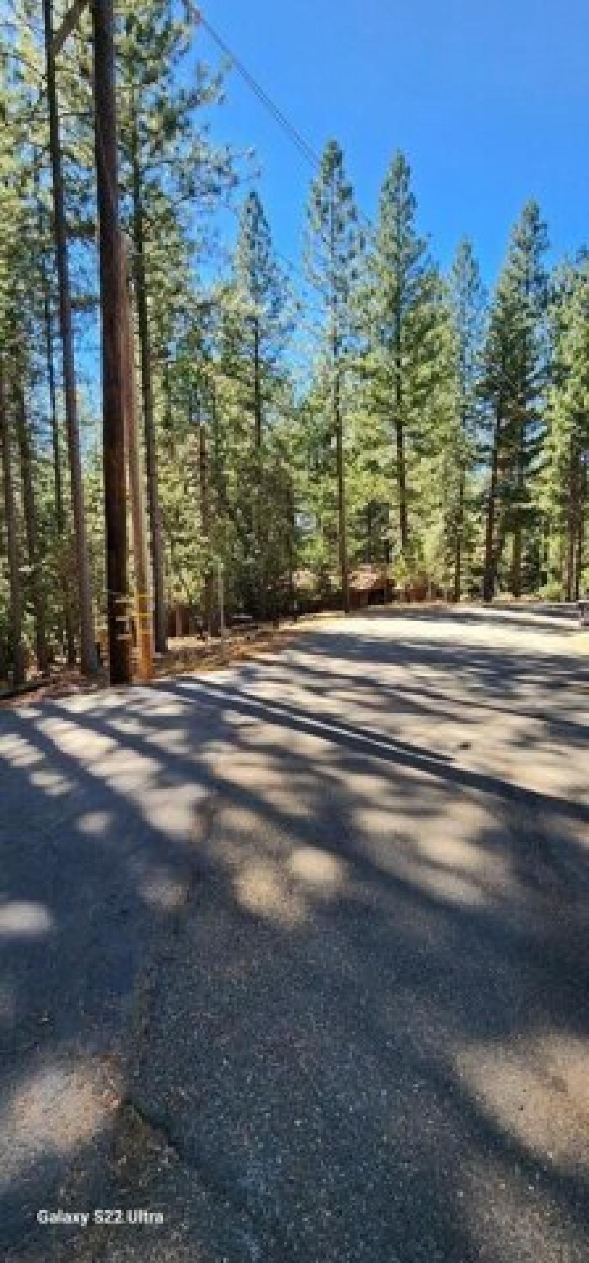 Picture of Residential Land For Sale in Pollock Pines, California, United States