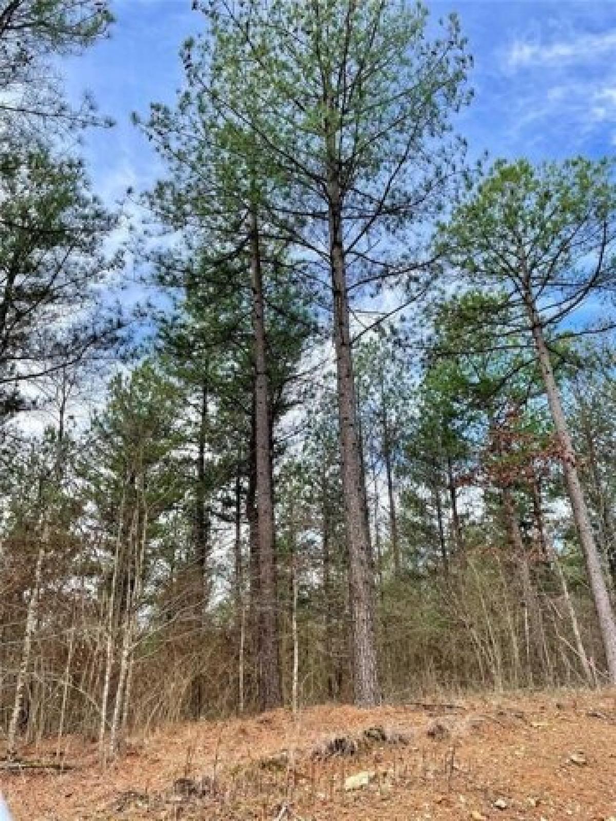 Picture of Residential Land For Sale in Broken Bow, Oklahoma, United States