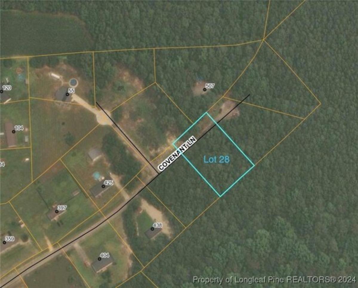 Picture of Residential Land For Sale in Godwin, North Carolina, United States