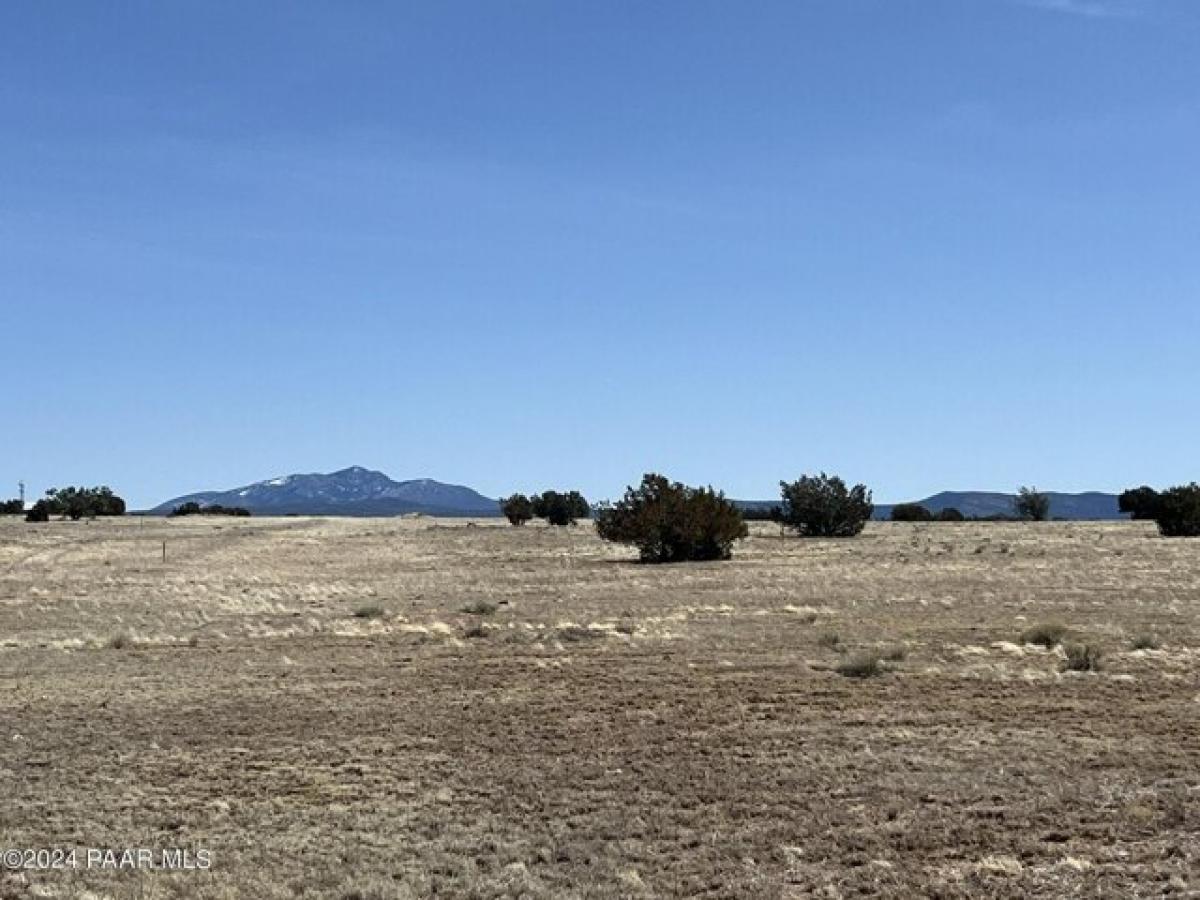 Picture of Residential Land For Sale in Ash Fork, Arizona, United States