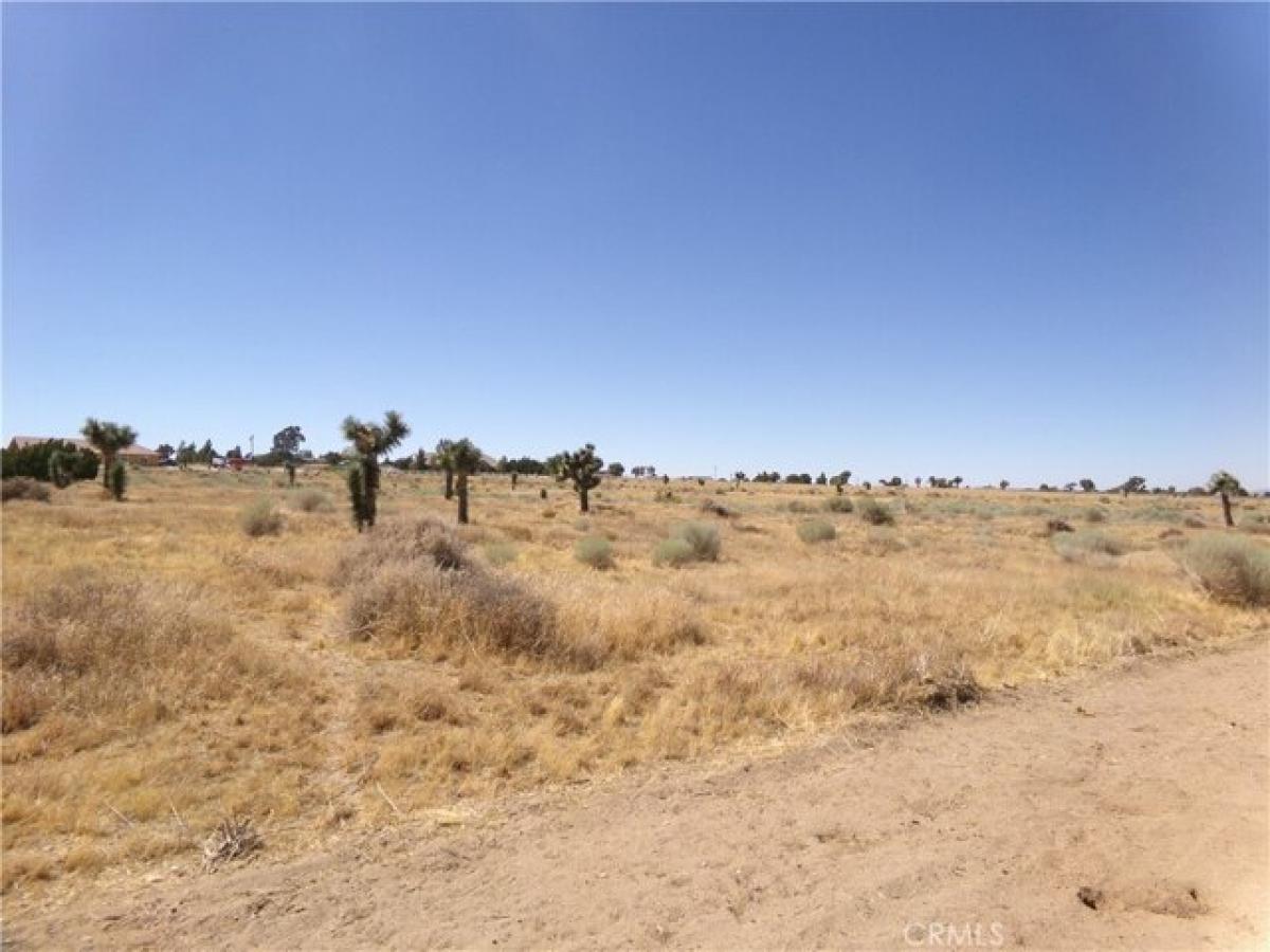 Picture of Residential Land For Sale in Phelan, California, United States