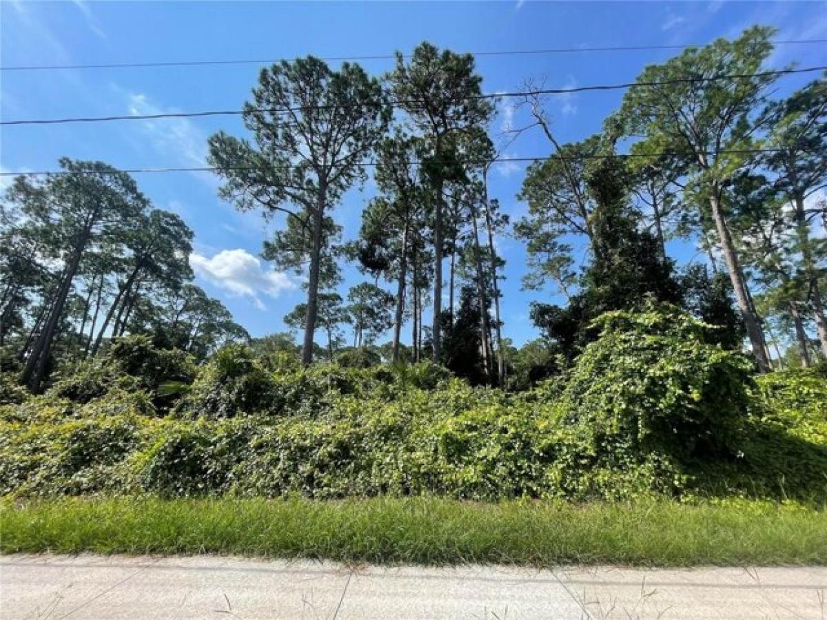 Picture of Residential Land For Sale in Deltona, Florida, United States