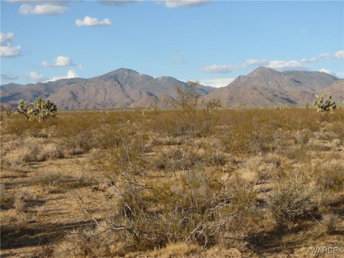 Picture of Home For Sale in Yucca, Arizona, United States