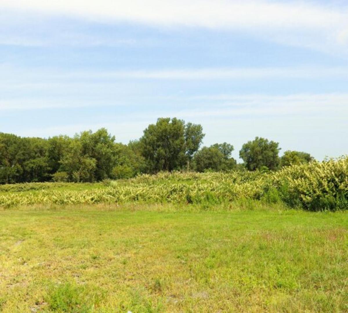 Picture of Residential Land For Sale in East Chicago, Indiana, United States