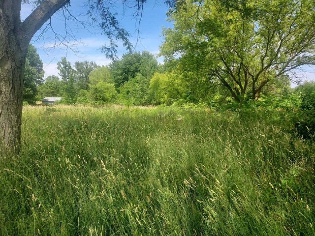 Picture of Residential Land For Sale in Bangor, Michigan, United States