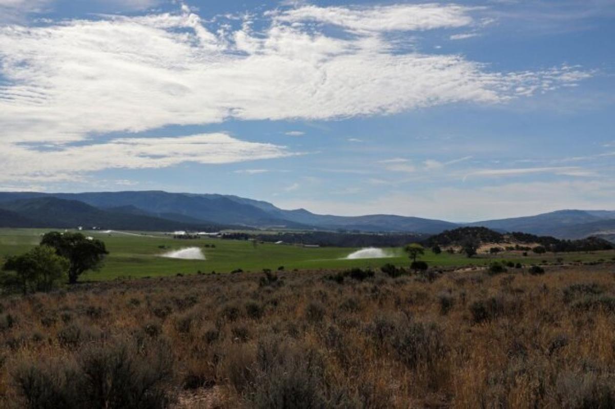 Picture of Residential Land For Sale in Montrose, Colorado, United States