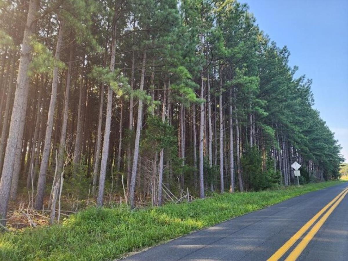 Picture of Residential Land For Sale in Brookneal, Virginia, United States