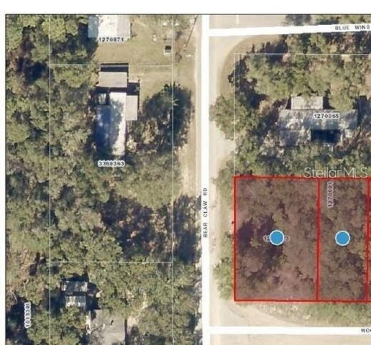 Picture of Residential Land For Sale in Altoona, Florida, United States