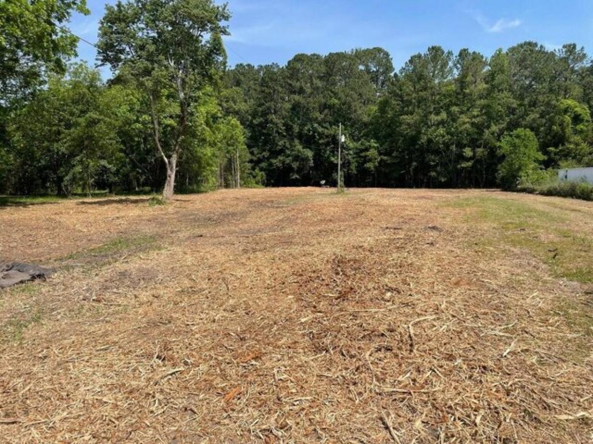 Picture of Residential Land For Sale in Summerville, South Carolina, United States