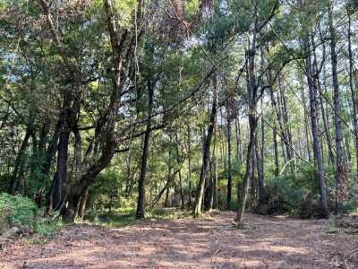 Residential Land For Sale in Kentwood, Louisiana