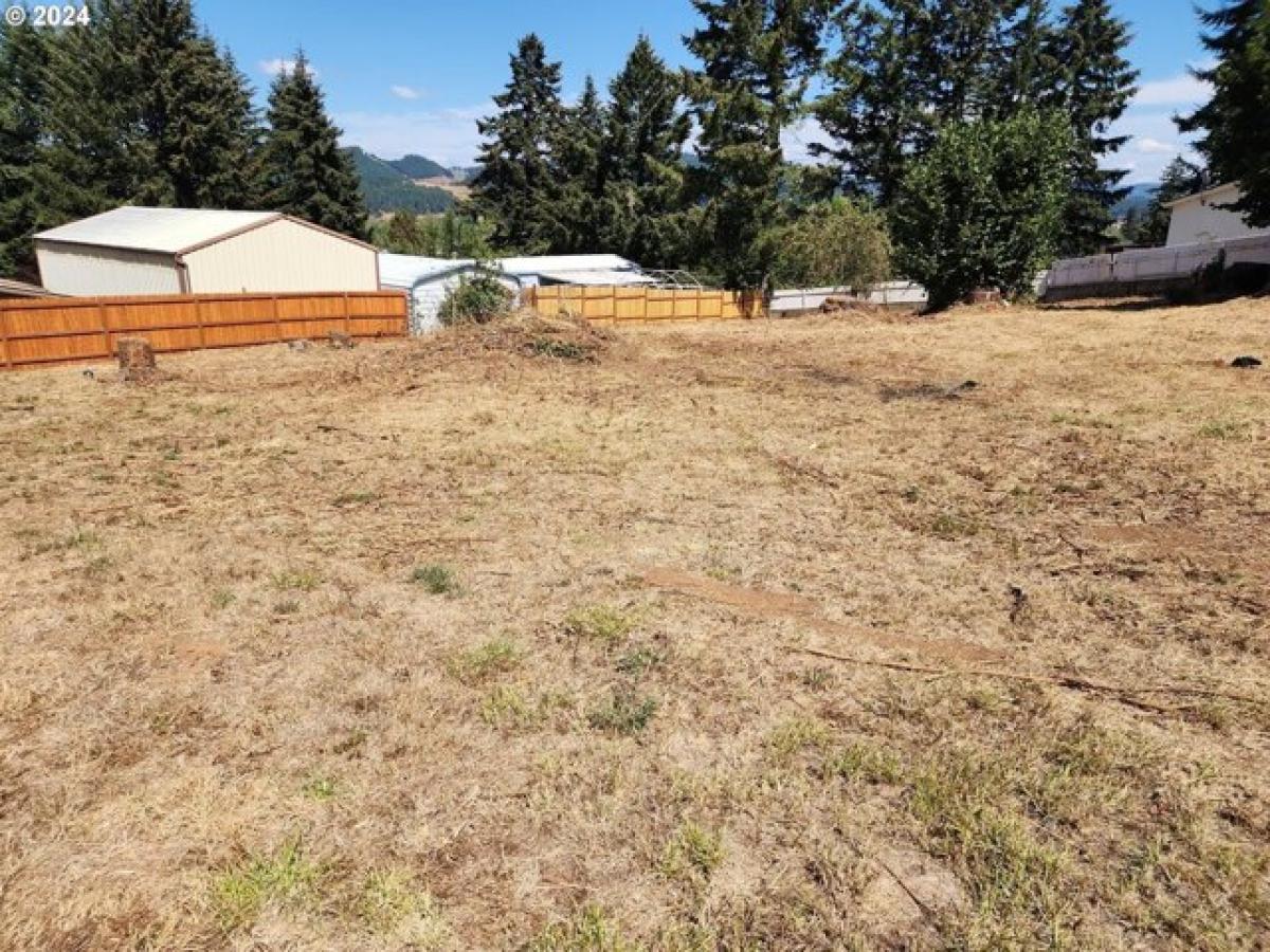 Picture of Residential Land For Sale in Yoncalla, Oregon, United States