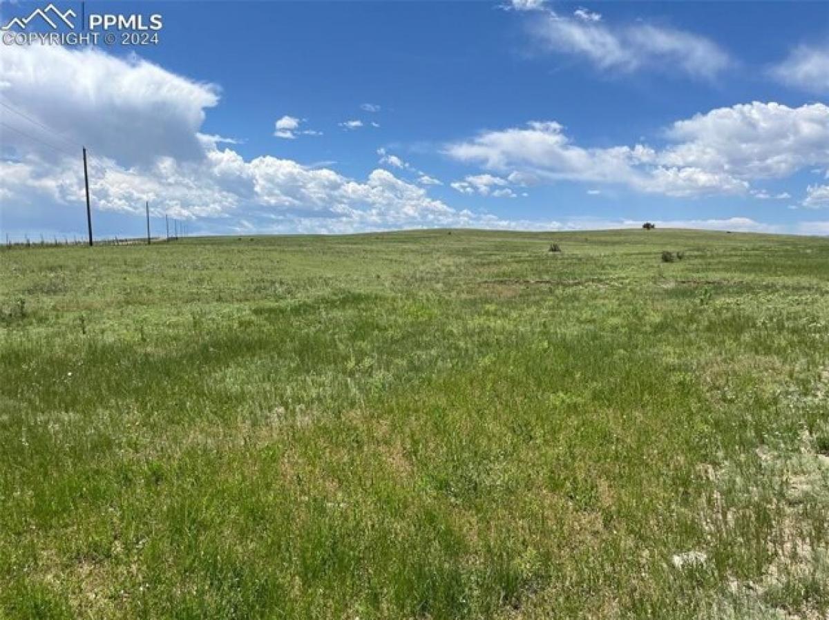 Picture of Residential Land For Sale in Rye, Colorado, United States