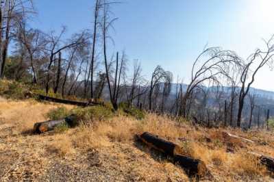 Residential Land For Sale in Redding, California