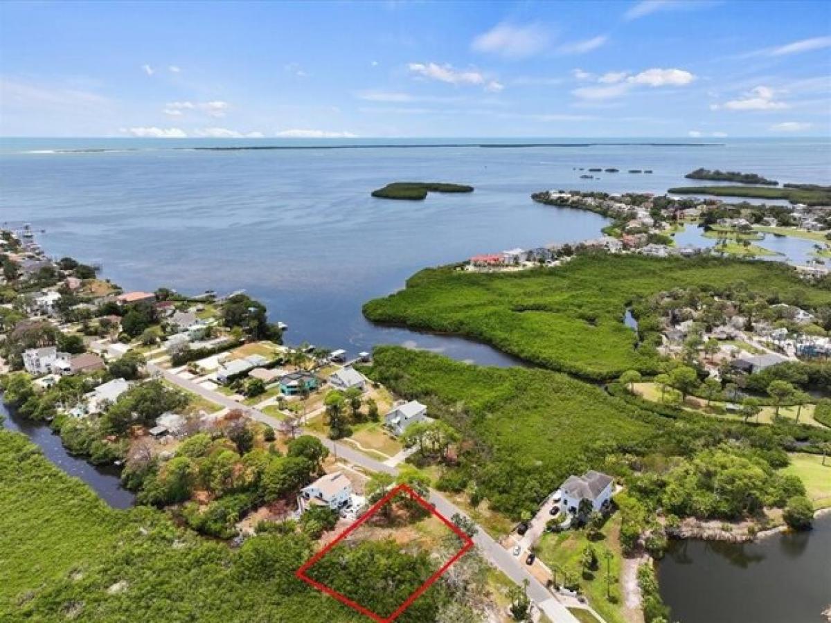 Picture of Residential Land For Sale in Tarpon Springs, Florida, United States