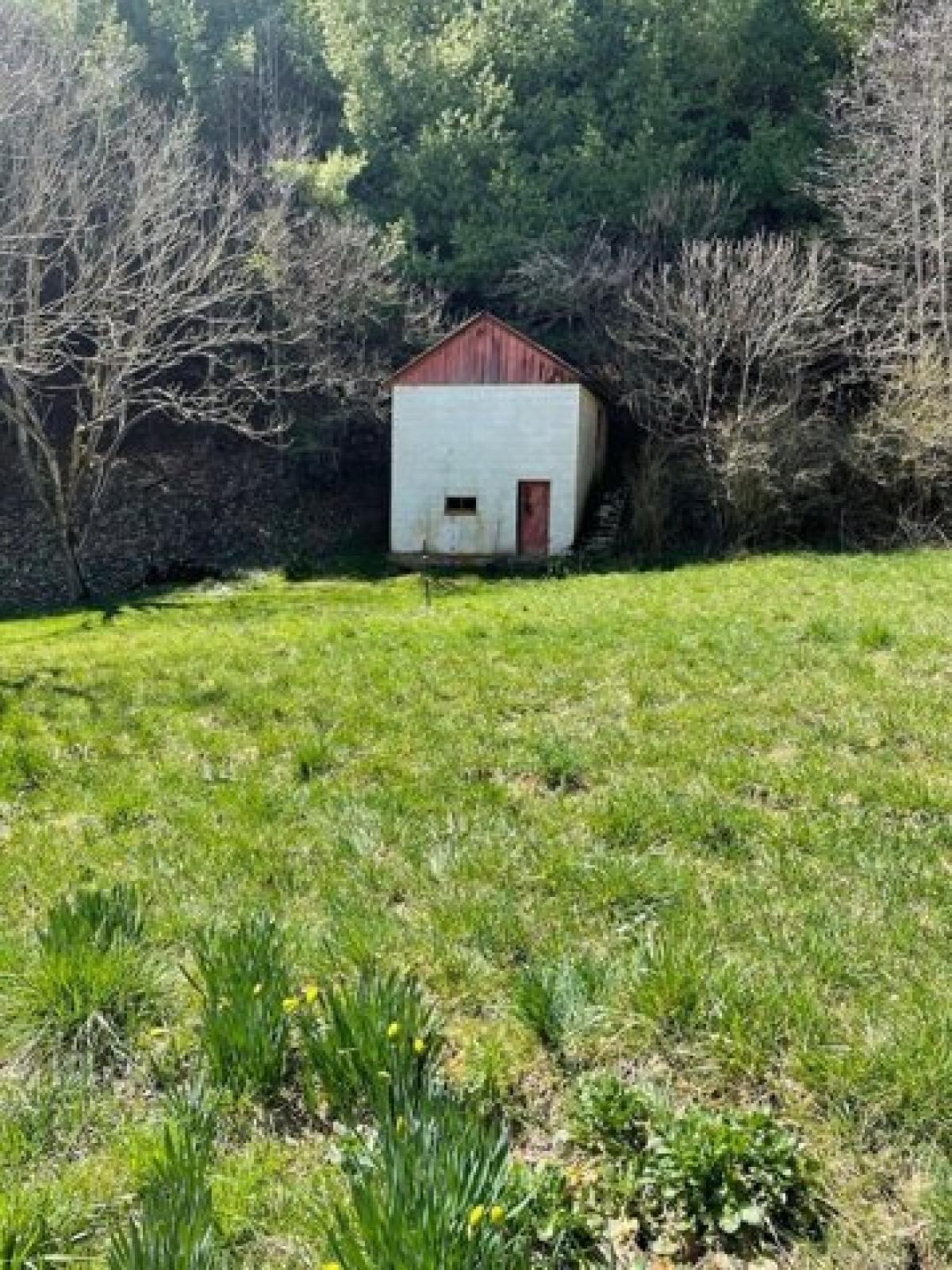 Picture of Residential Land For Sale in Mouth of Wilson, Virginia, United States