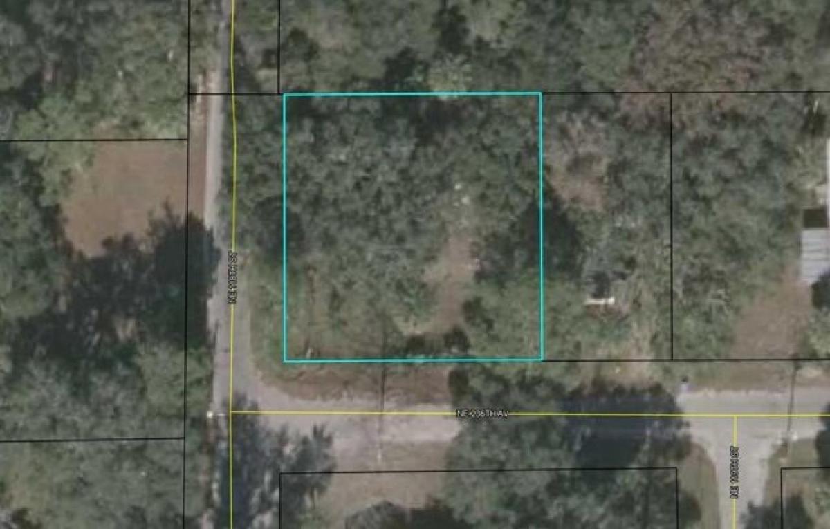 Picture of Residential Land For Sale in Cross City, Florida, United States