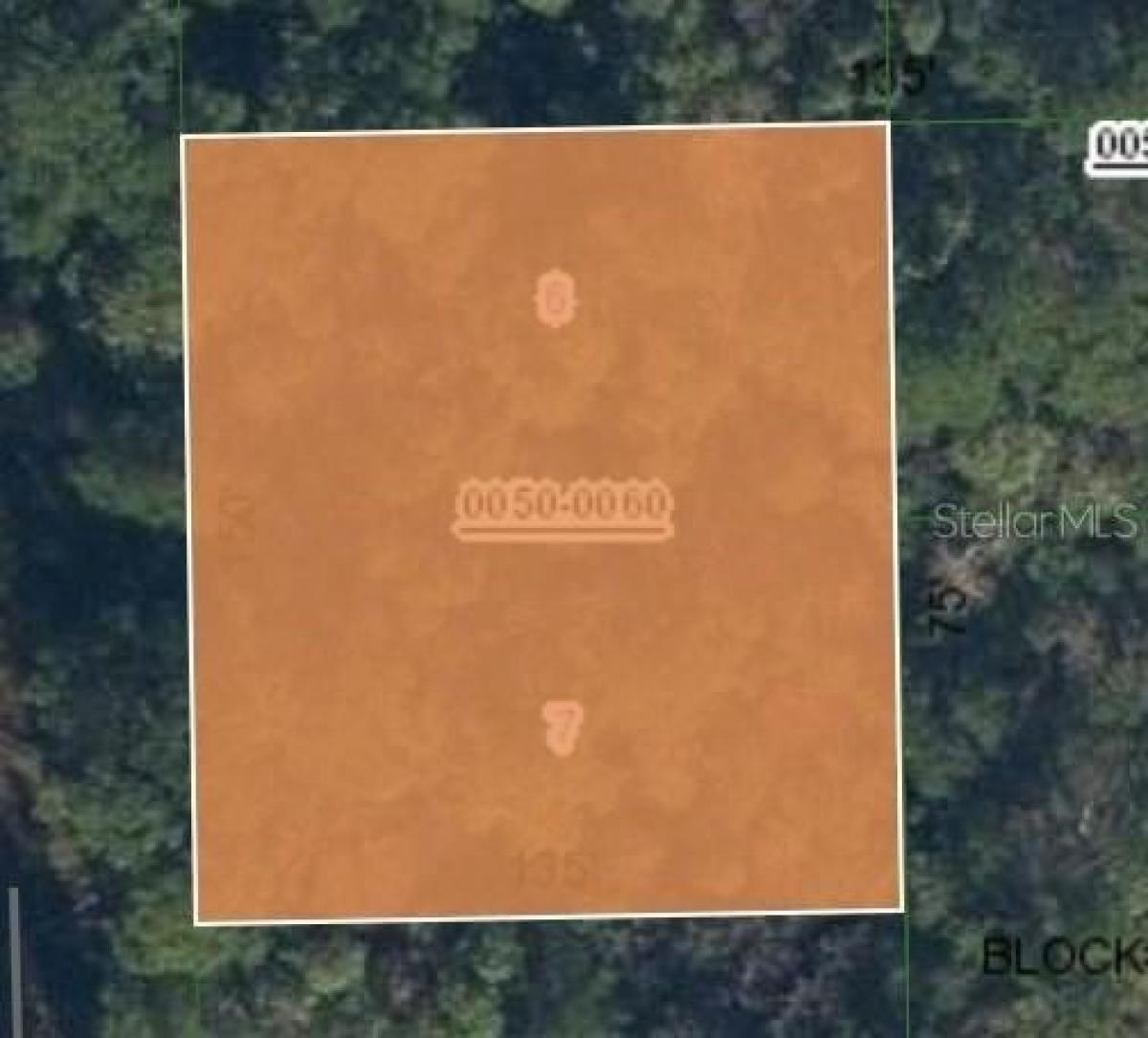 Picture of Residential Land For Sale in Satsuma, Florida, United States