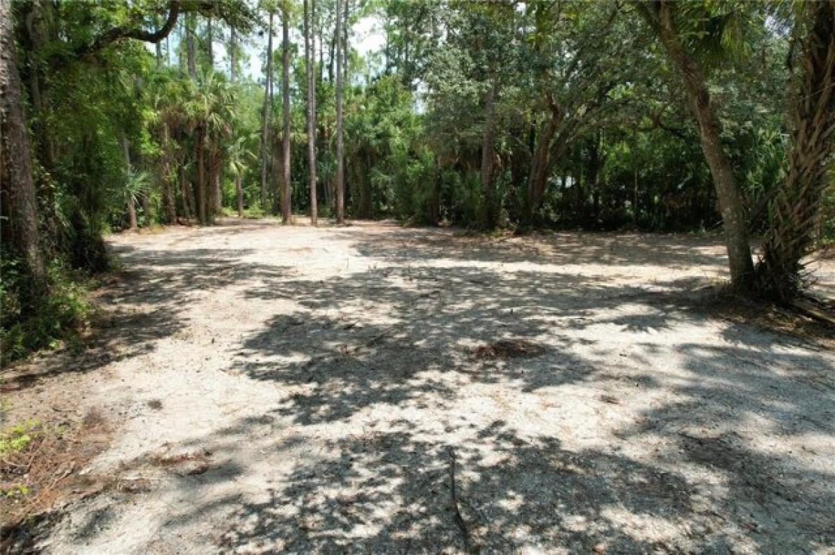 Picture of Residential Land For Sale in Christmas, Florida, United States