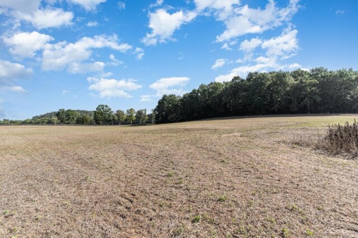 Picture of Residential Land For Sale in Franklin, Tennessee, United States