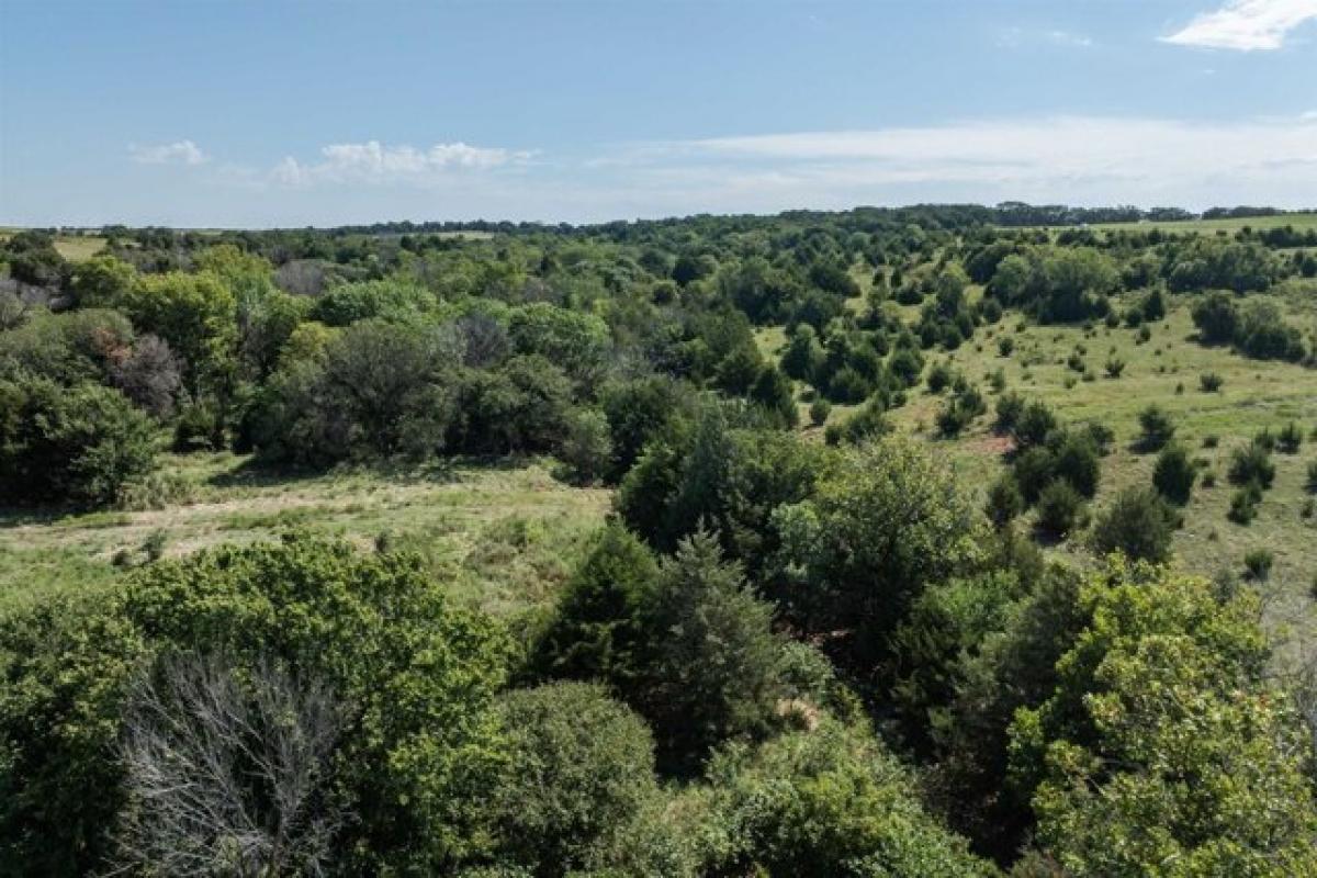 Picture of Residential Land For Sale in Sedan, Kansas, United States