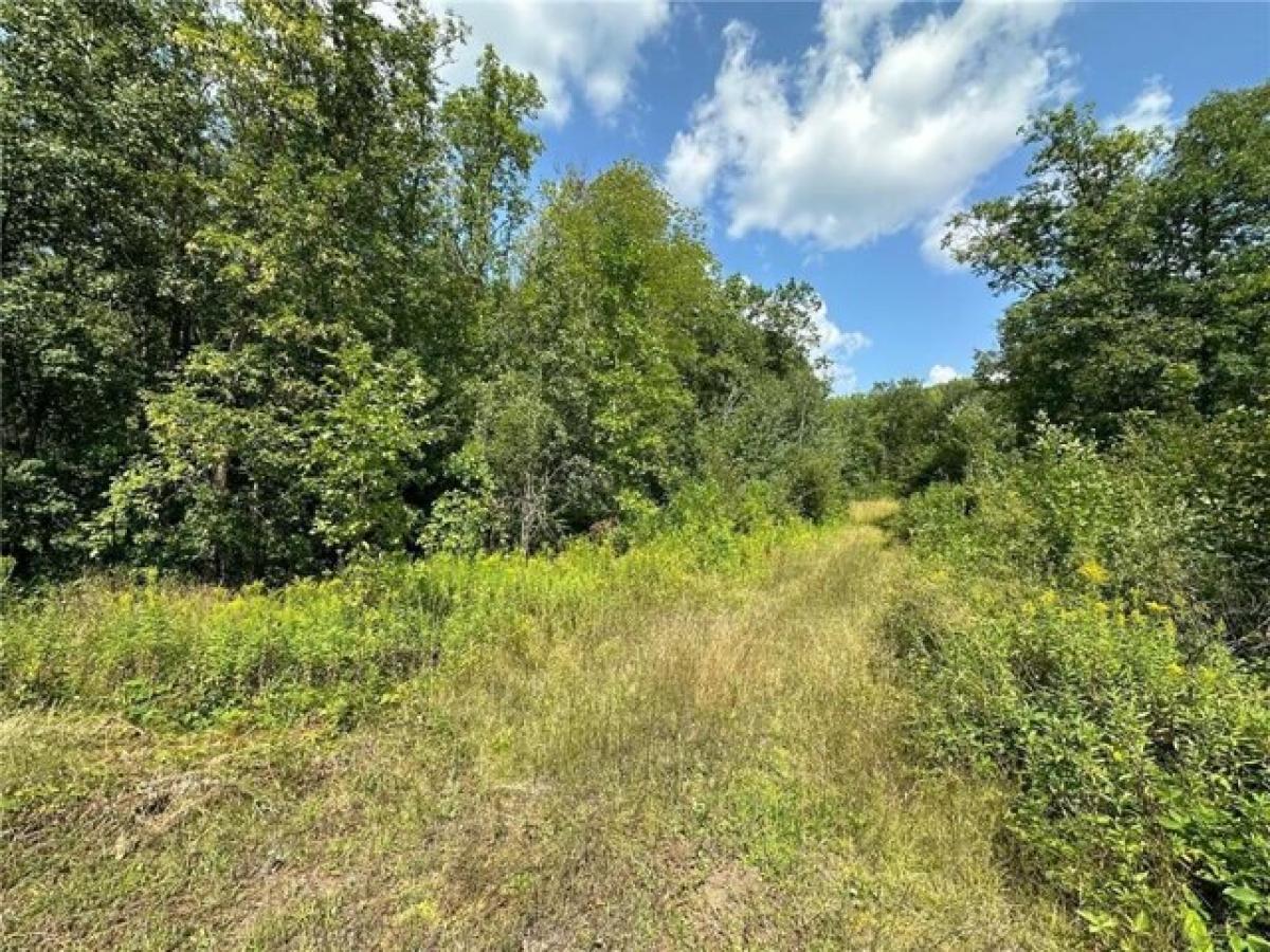 Picture of Residential Land For Sale in Sandstone, Minnesota, United States