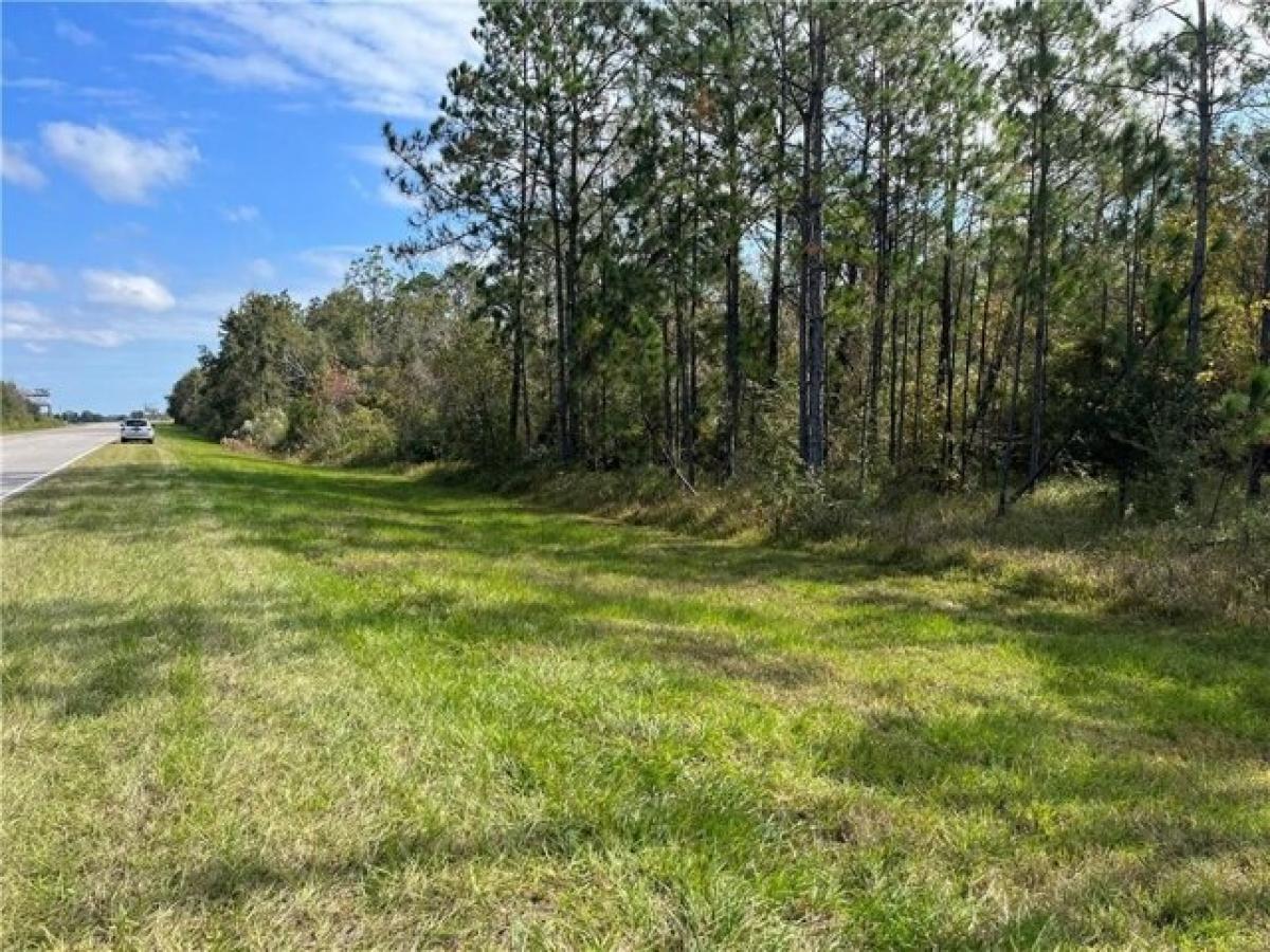 Picture of Residential Land For Sale in Foley, Alabama, United States