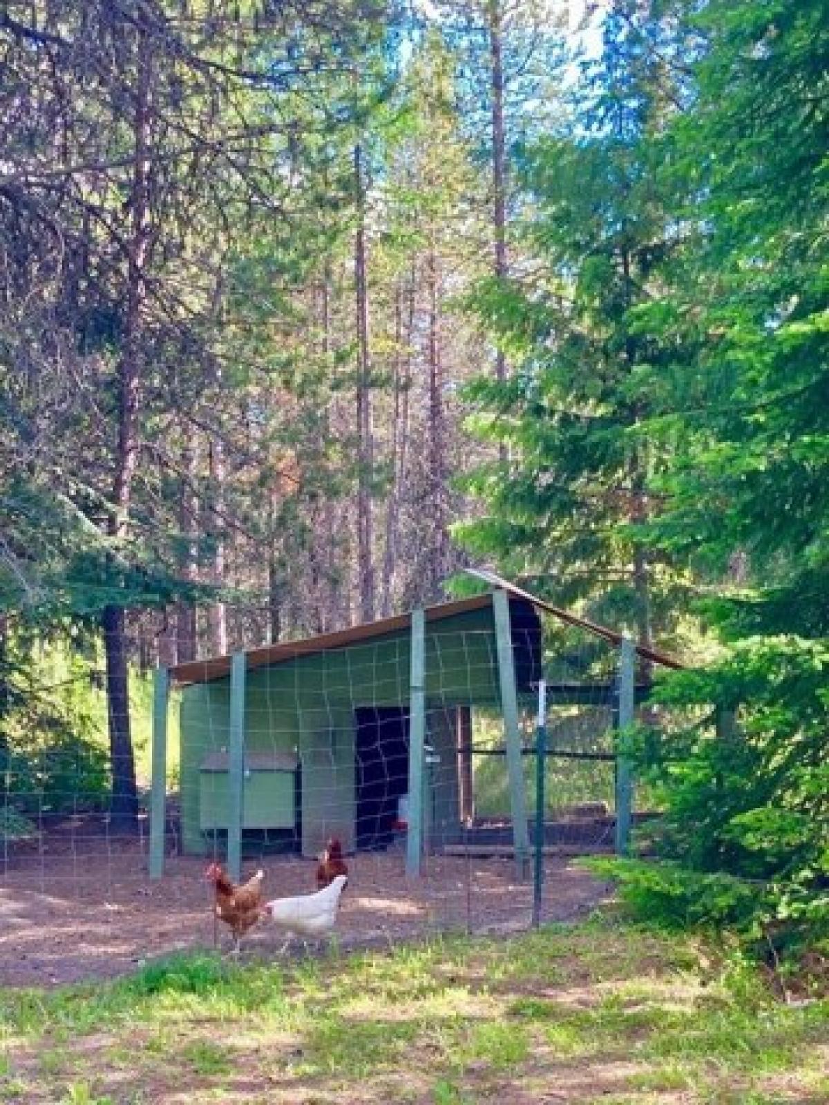 Picture of Home For Sale in Colville, Washington, United States