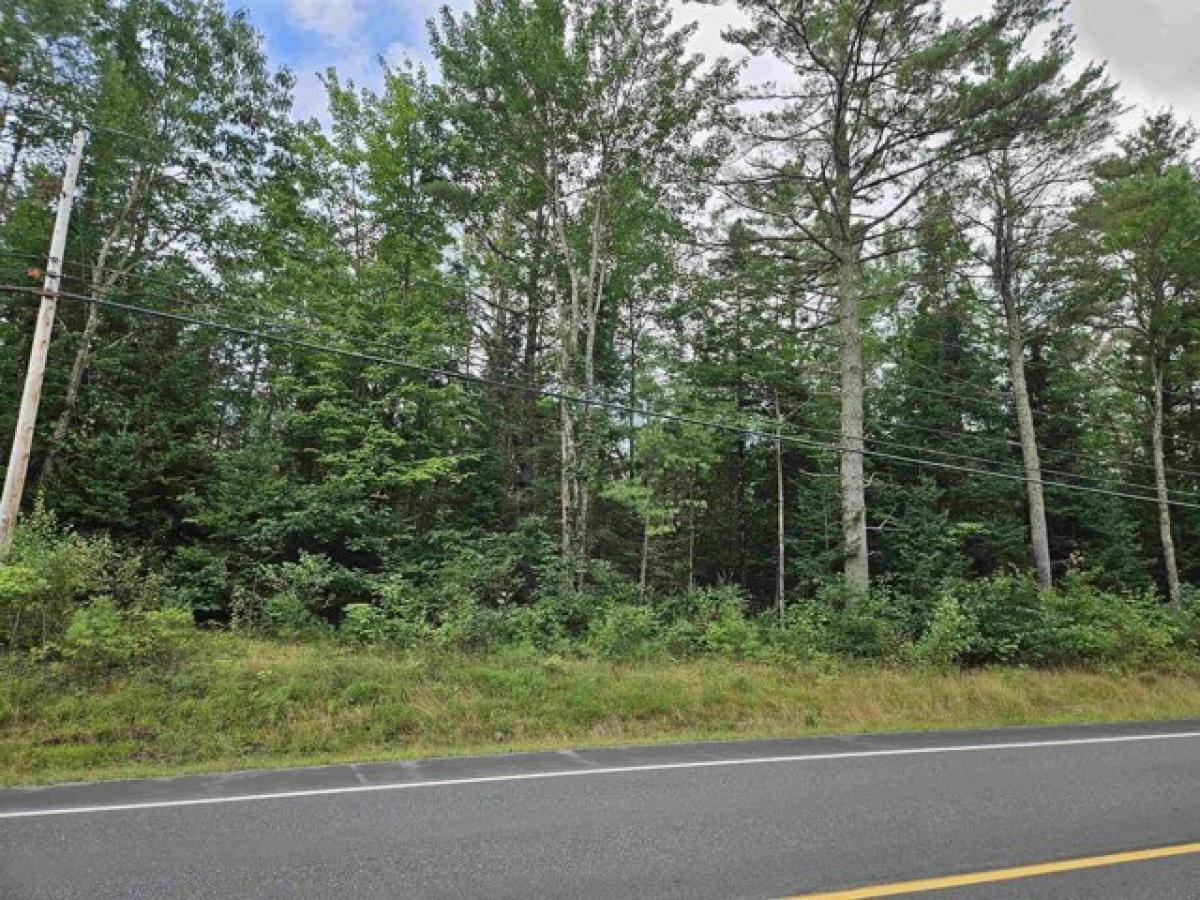 Picture of Residential Land For Sale in Bethlehem, New Hampshire, United States