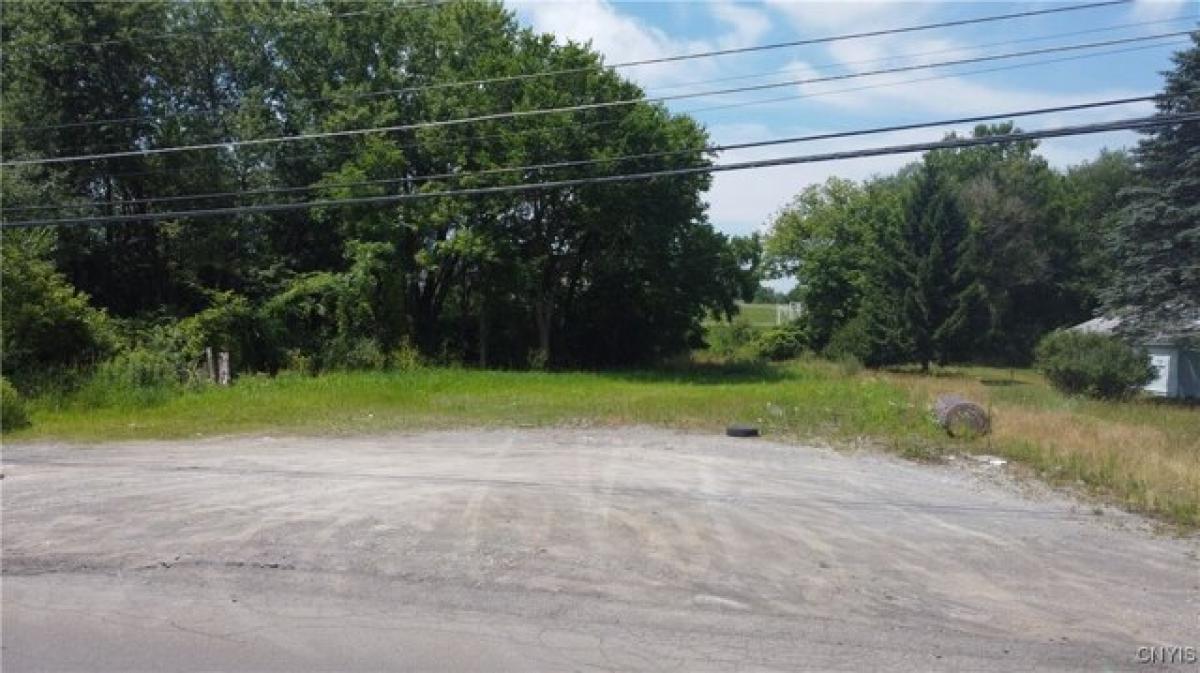 Picture of Residential Land For Sale in Cortland, New York, United States