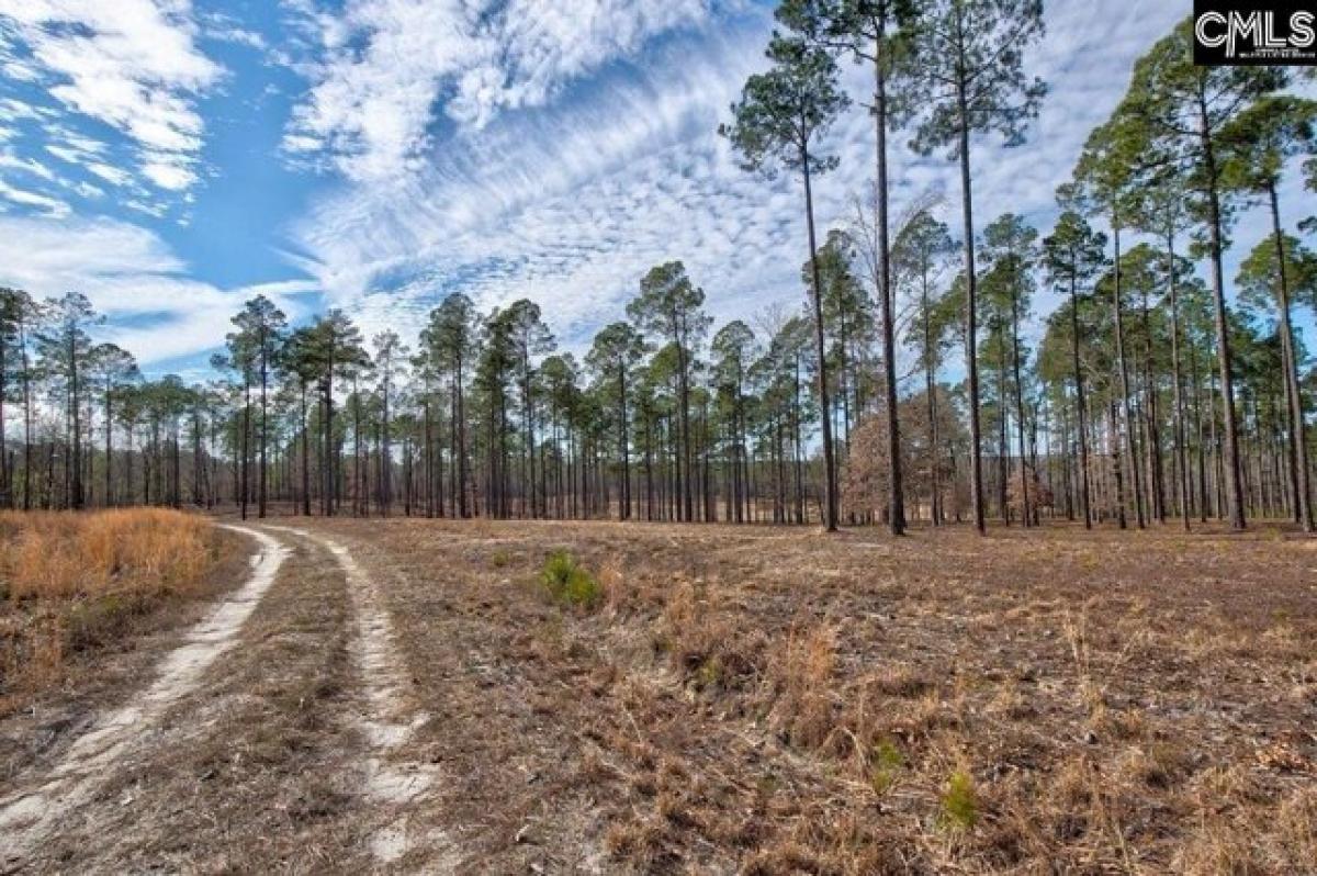 Picture of Residential Land For Sale in Rembert, South Carolina, United States