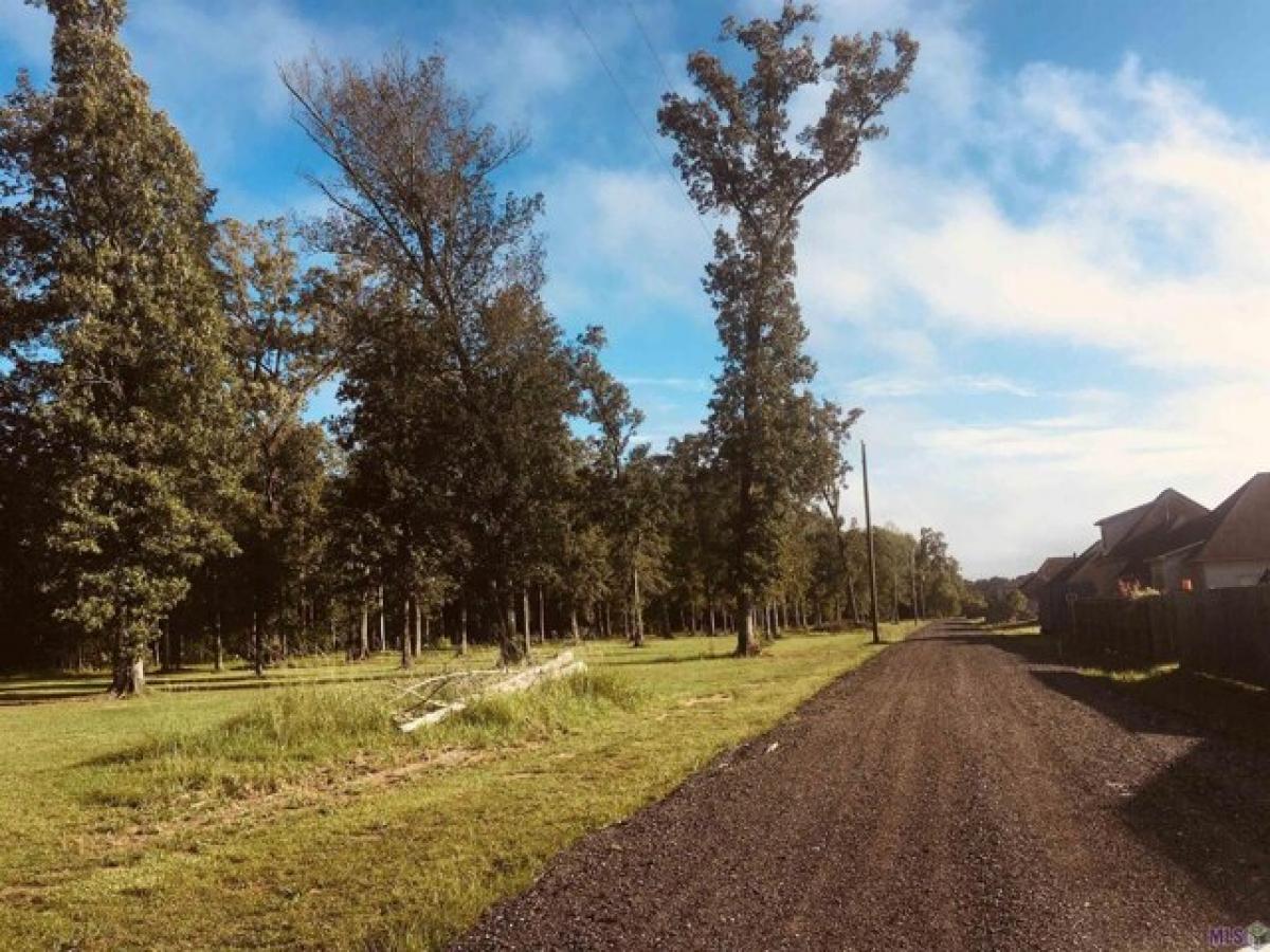 Picture of Residential Land For Sale in Baton Rouge, Louisiana, United States