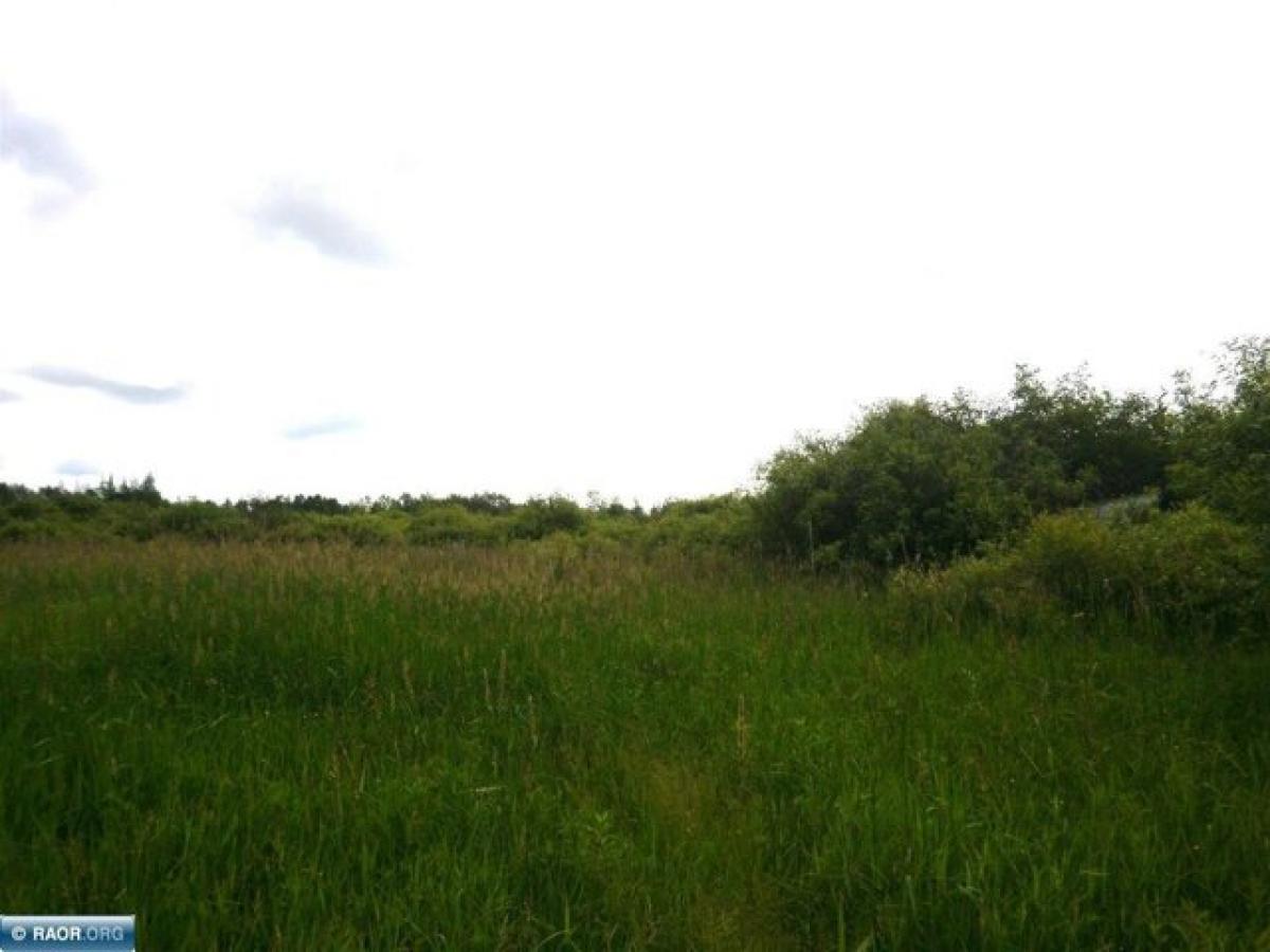 Picture of Residential Land For Sale in Floodwood, Minnesota, United States