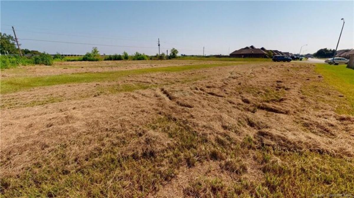 Picture of Residential Land For Sale in Iowa, Louisiana, United States