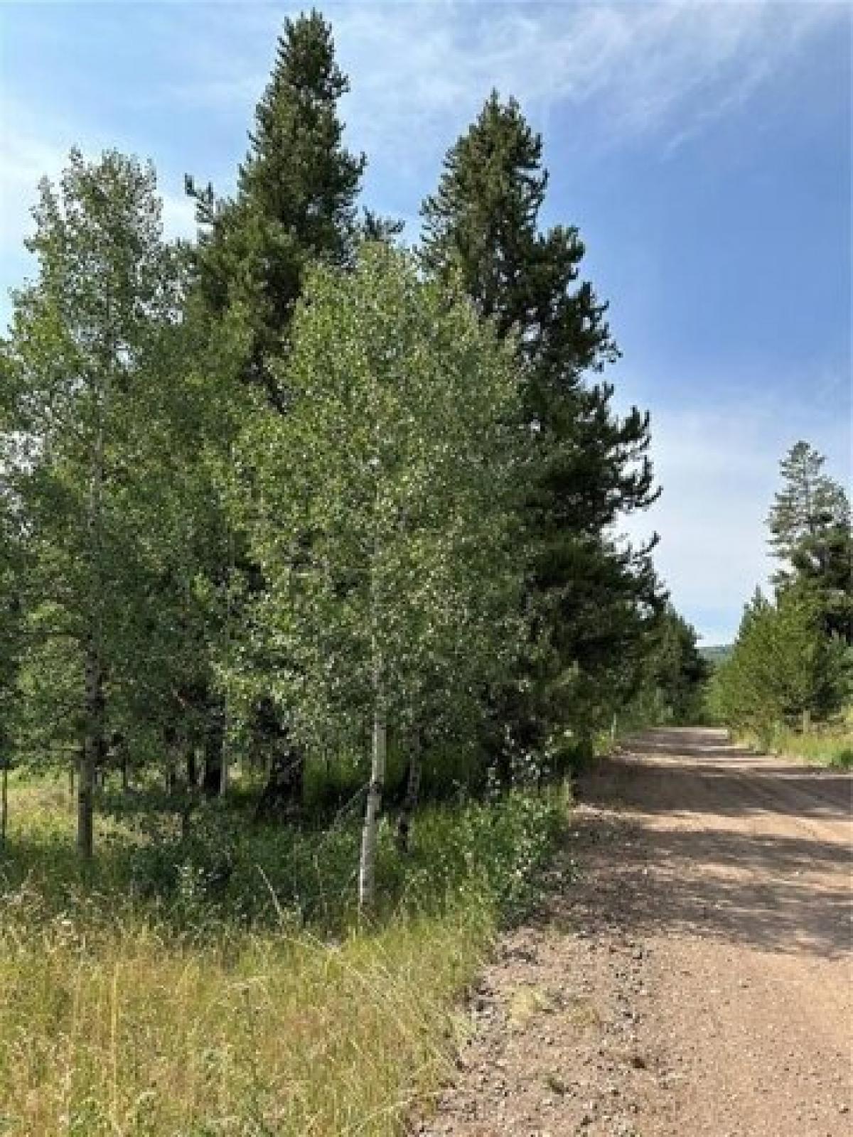 Picture of Residential Land For Sale in Oak Creek, Colorado, United States