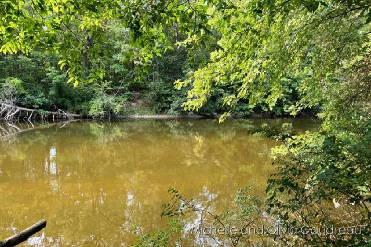 Picture of Residential Land For Sale in Hastings, Michigan, United States