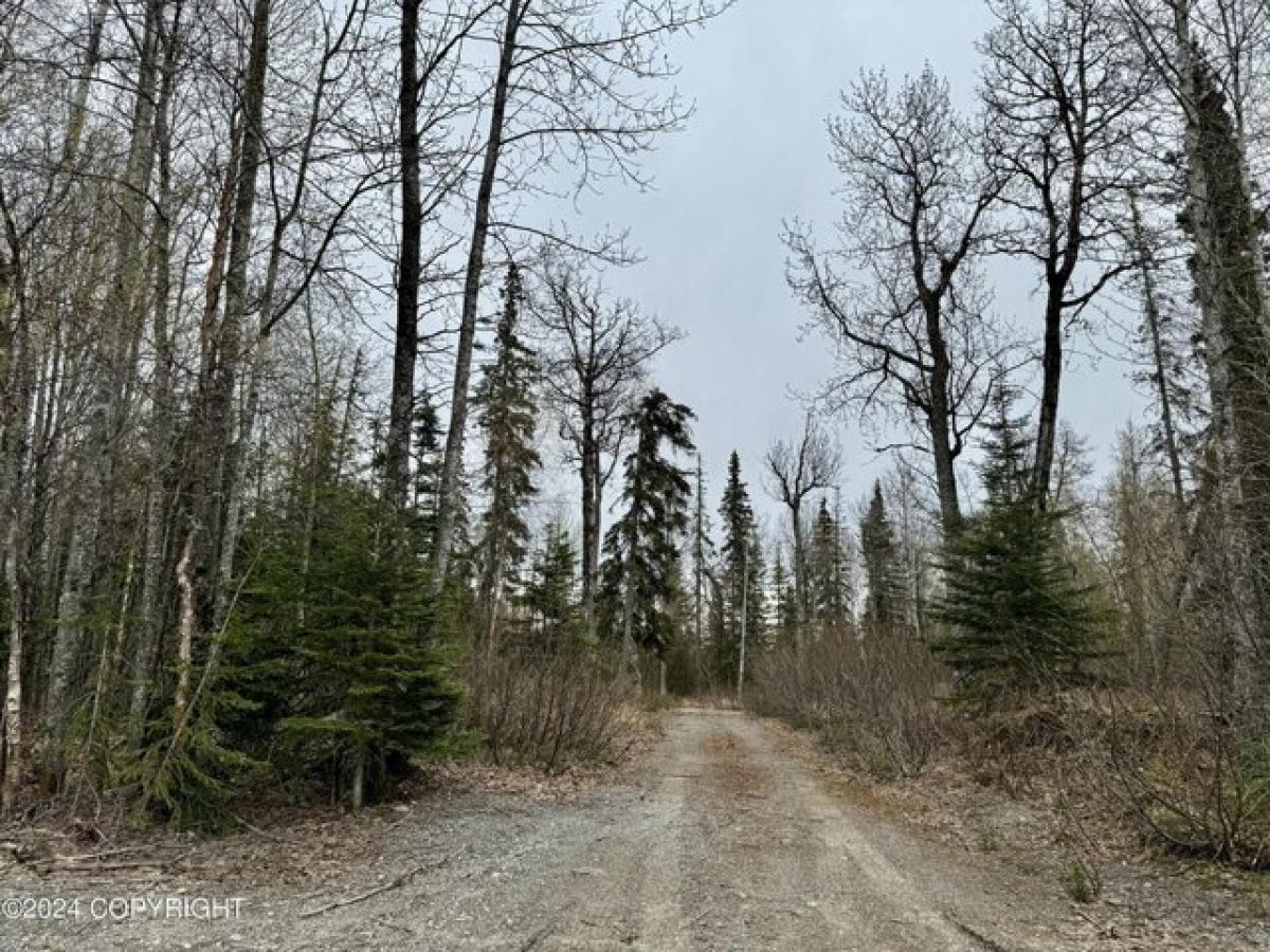 Picture of Residential Land For Sale in Nikiski, Alaska, United States