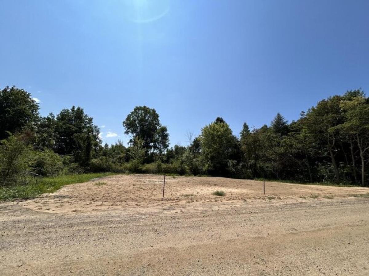 Picture of Residential Land For Sale in South Haven, Michigan, United States