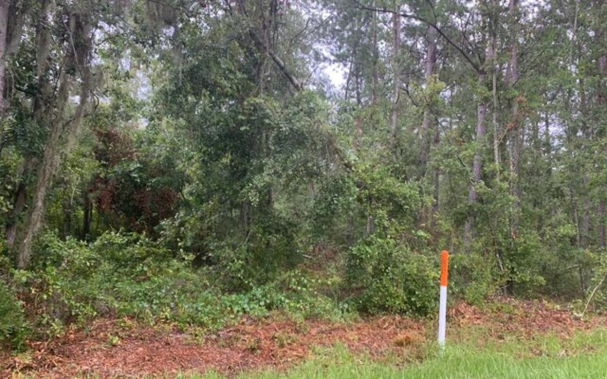 Picture of Residential Land For Sale in Jasper, Florida, United States