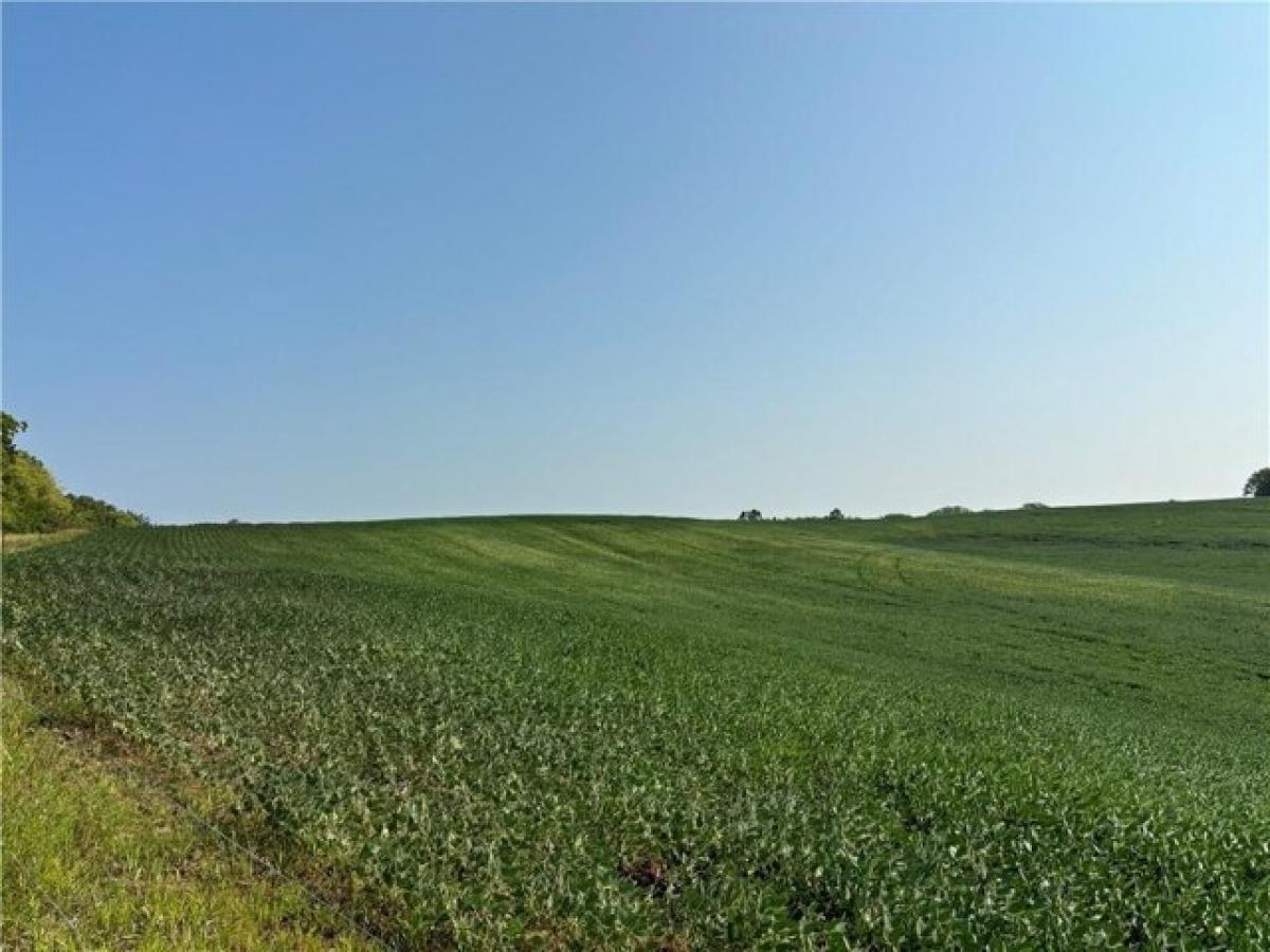 Picture of Residential Land For Sale in Dearborn, Missouri, United States