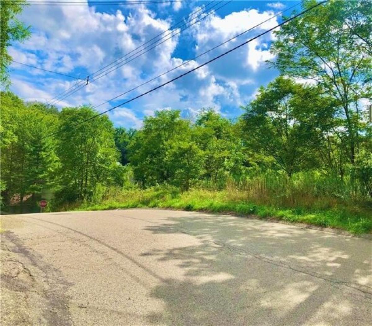 Picture of Residential Land For Sale in West Mifflin, Pennsylvania, United States