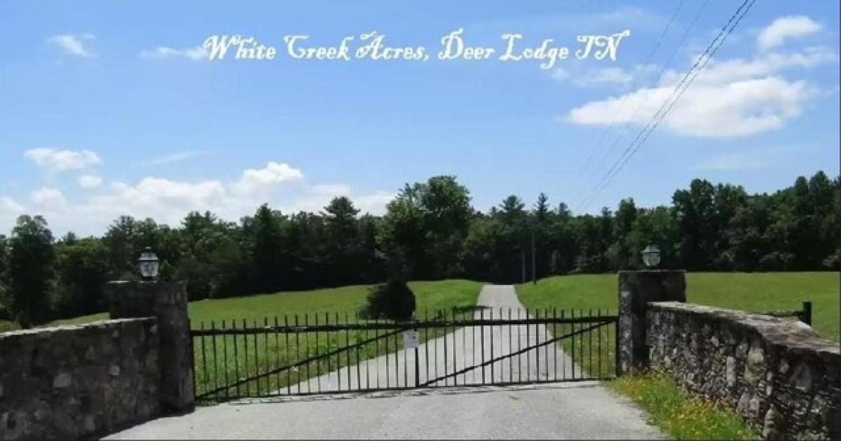 Picture of Residential Land For Sale in Deer Lodge, Tennessee, United States