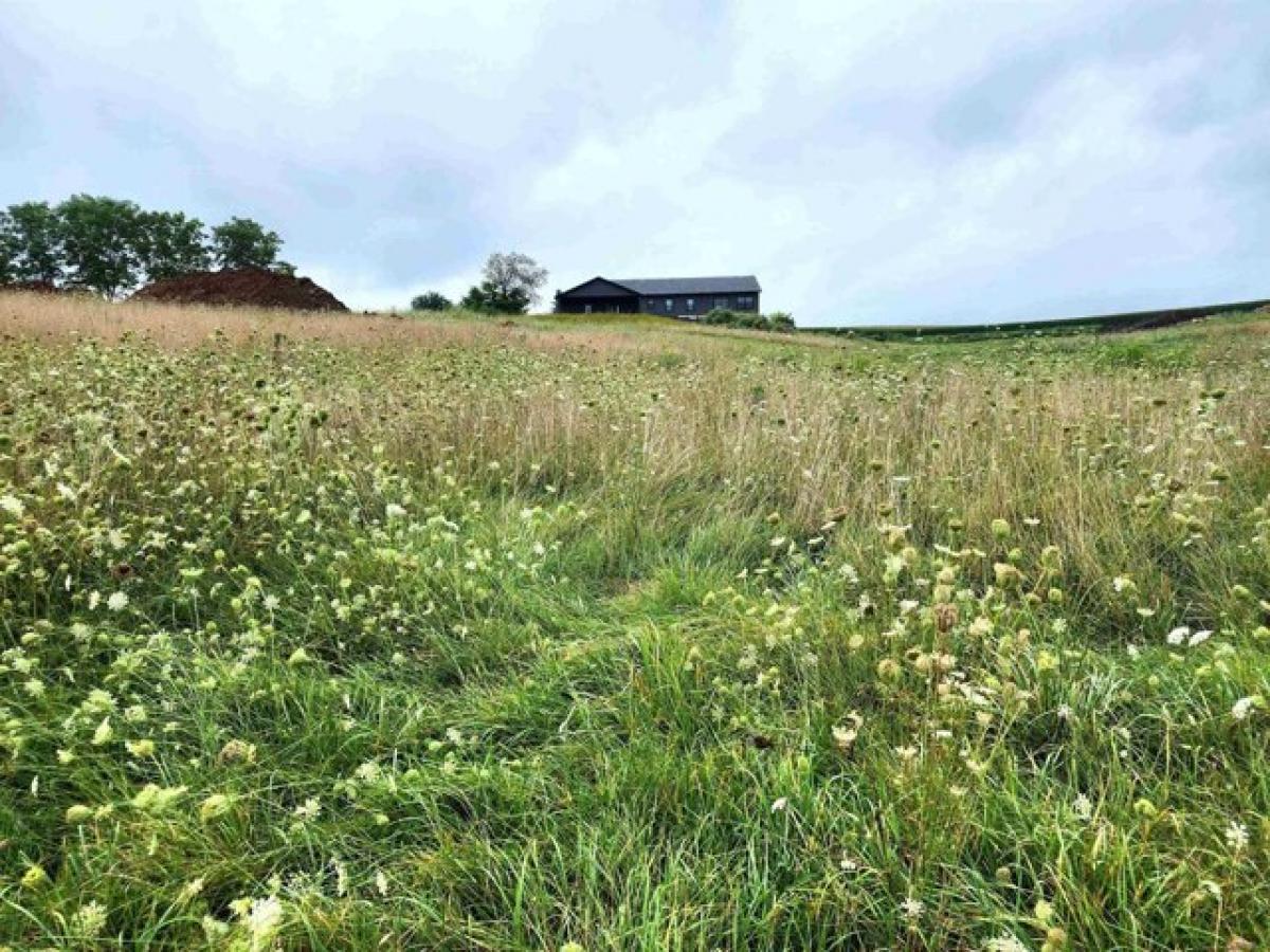 Picture of Residential Land For Sale in Platteville, Wisconsin, United States