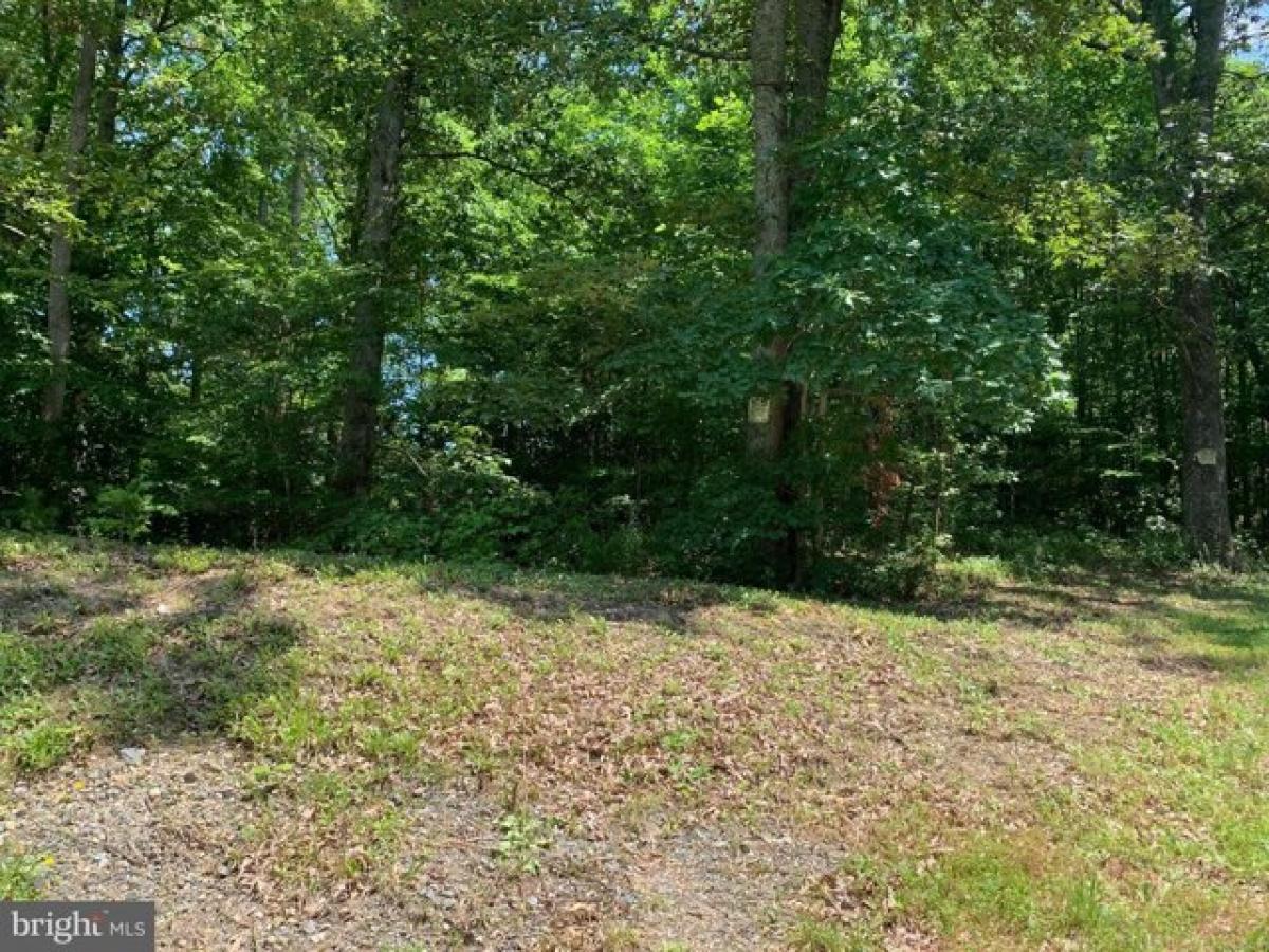 Picture of Residential Land For Sale in Fredericksburg, Virginia, United States